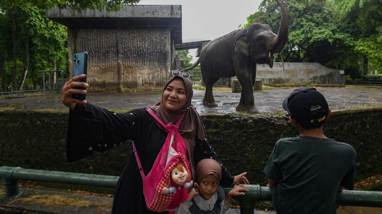 Ragunan Dibanjiri Puluhan Ribu Pengunjung di Hari Kedua Lebaran