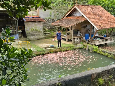 Desa BRILiaN Jatihurip, Desa Mandiri dan Jadi Percontohan Dalam Pengembangan Energi Terbarukan Berkat Bantuan BRI.