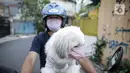 Seorang warga membawa anjing peliharaannya yang menggunakan masker di Jakarta, Selasa (12/5/2020). Masker yang dipasangkan oleh pemiliknya tersebut untuk melindungi anjing dari polusi udara serta mengantisipasi tertular virus corona COVID-19. (Liputan6.com/Faizal Fanani)