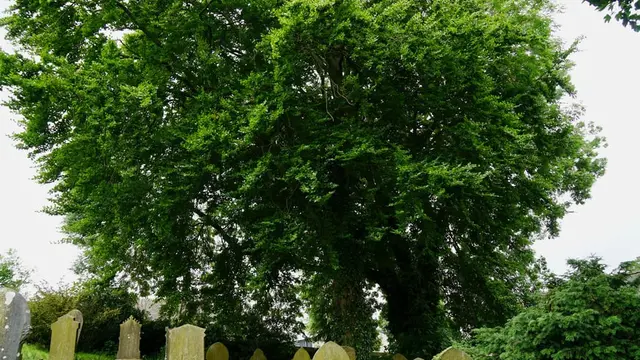 Arti Mimpi Menggali Kuburan yang Bermakna Buruk