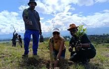 Pemprov Papua Pegunungan Tanam 3.000 Pohon di Hardiknas, Edukasi Lingkungan Sejak Dini