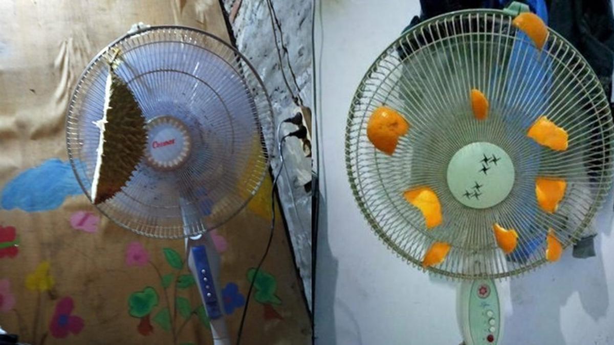 Pengharum Kipas Angin C