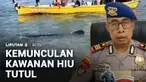 Kawanan hiu tutul muncul di perairan Pasuruan, Jawa Timur, dalam beberapa hari terakhir ini. Diduga kawanan hiu tutul sedang migrasi besar-besaran untuk mencari plankton dan laut hangat.