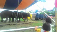 Libur Akhir Tahun, Yogyakarta Suguhkan Atraksi Sirkus
