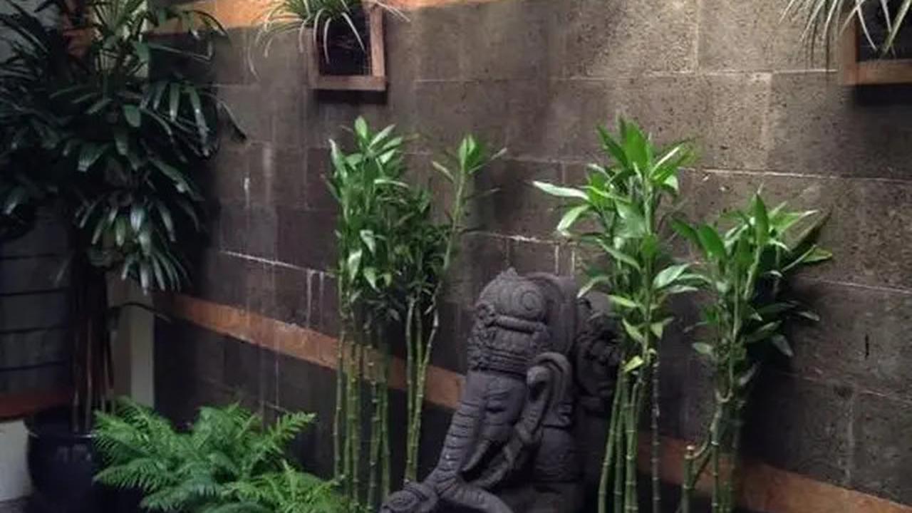 Model Taman Minimalis di Dalam Rumah yang Bikin Hunian Asri, Simak Rekomendasinya