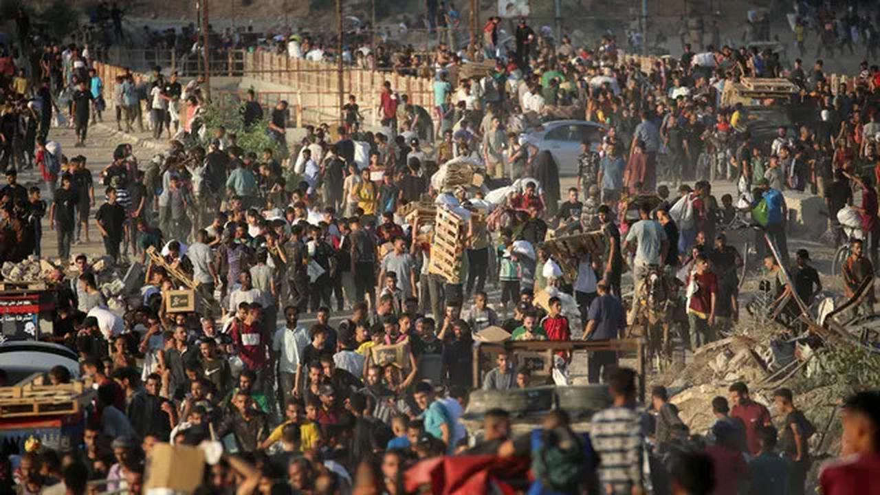 Kata Pengamat Terkait Pengiriman Beras 10.000 Ton Beras dari Indonesia ke Palestina
