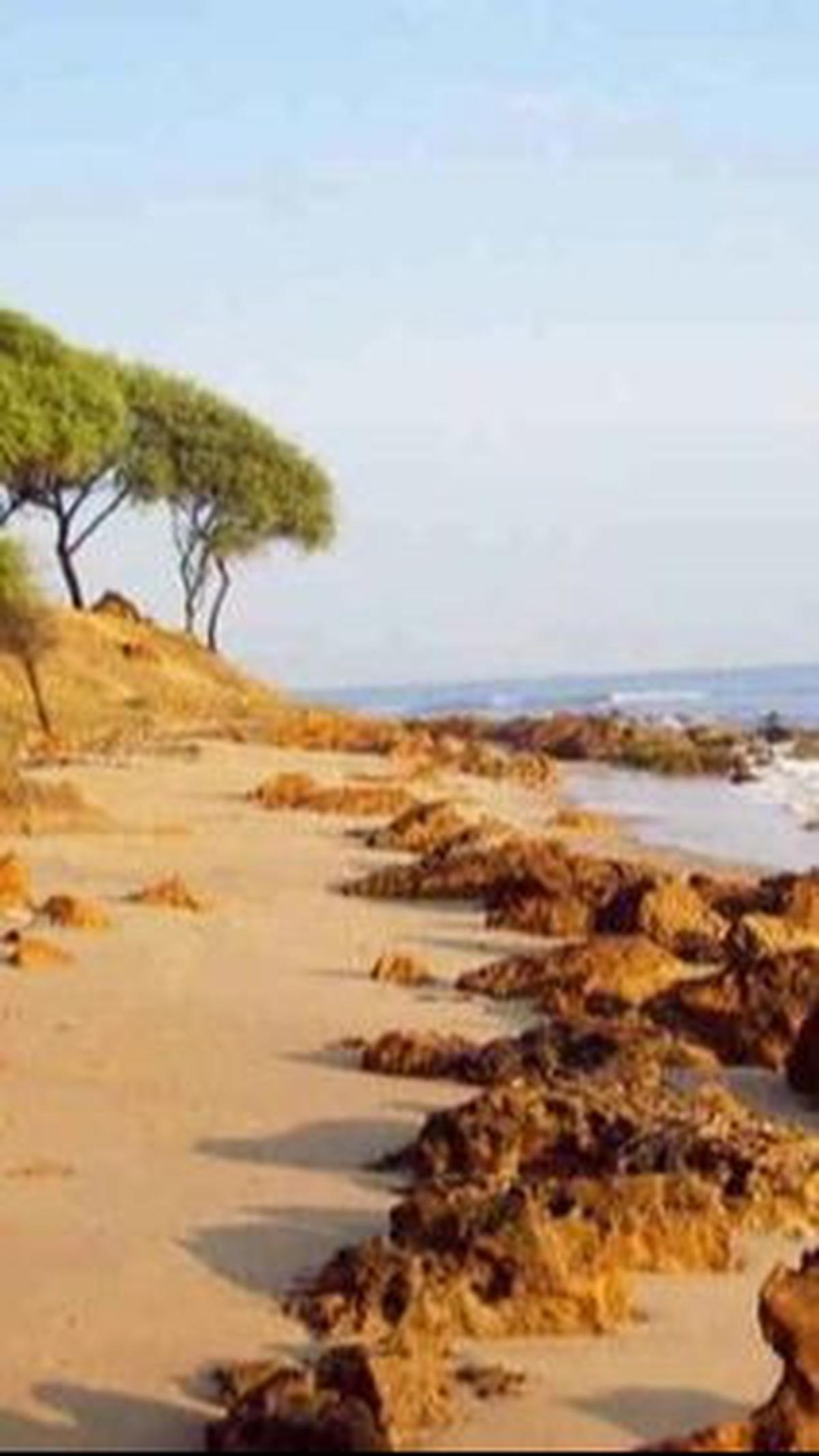 2. Pantai Sowan<br>