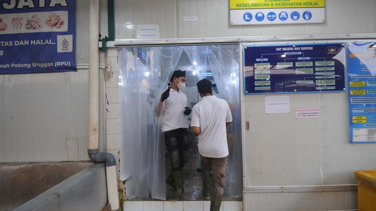 "Ayam atau ayam potong itu harus ada sertifikat halal, Oktober 2024 sih udah nggak tawar-tawar lagi untuk besok harus ada sertifikasi halal."