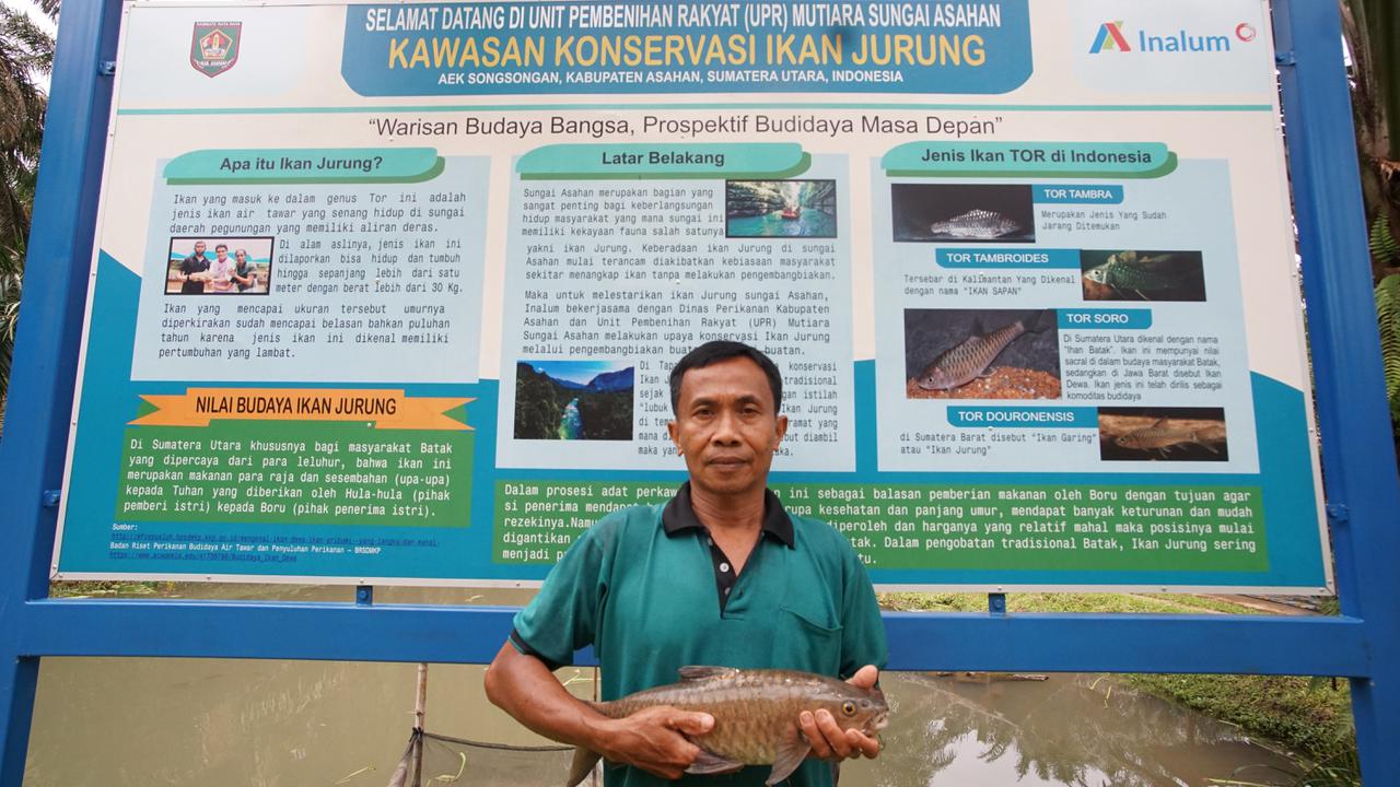 Ikan jurung