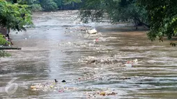 Sampah yang terbawa aliran sungai Ciliwung di kawasan bukit duri menuju pintu air Manggarai, Jakarta, Rabu (8/3). Hujan deras yang mengguyur kawasan Jabodetabek semalam membuat aliran air Ciliwung meningkat dan membawa sampah. (Liputan6.com/Yoppy Renato)