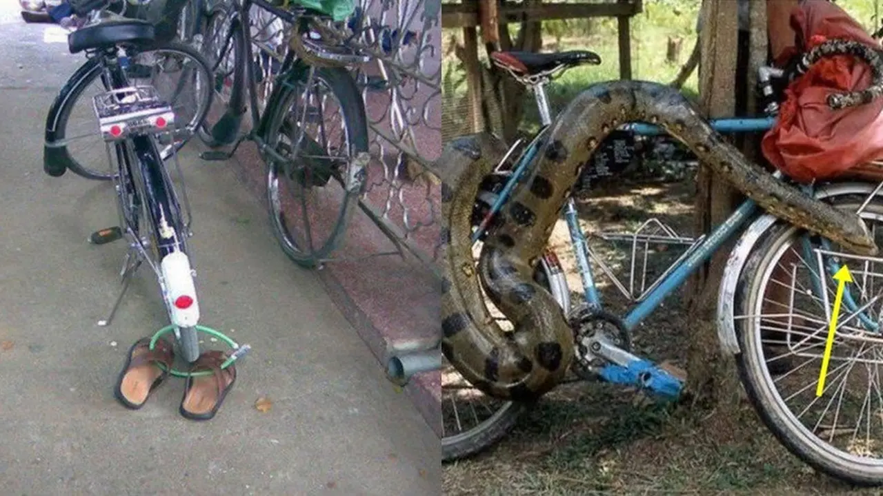 Keren tapi Ngakak, Ini 8 Ide Kocak Orang Amankan Barang Dari Maling