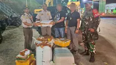 TNI AL Gagalkan Penyelundupan 445 Lembar Kulit Piton dan 32 Kura-Kura