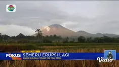 Fokus edisi (19/12) menyajikan beberapa berita di antaranya, Semeru Erupsi Lagi, Arus Lalu Lintas Liburan, Sejuknya Berkemah di Ranca Upas.