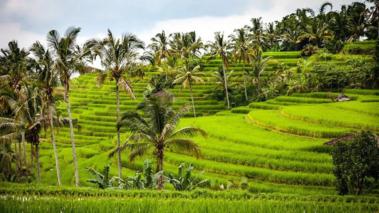 Indonesia