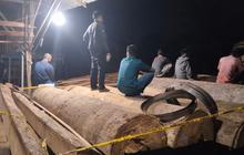 Lokasi Pengolahan Kayu Hutan Besar di Kampar Terbongkar, 5 Orang Diringkus Polisi