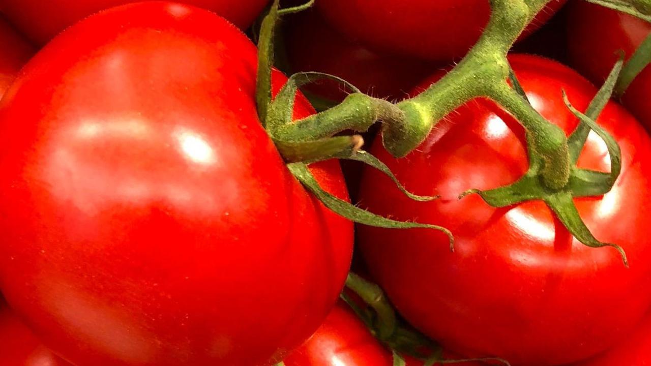Buah Tomat Sebagai Bahan Utama Masker Alami