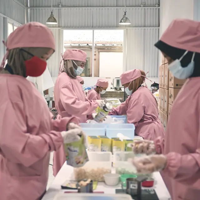 Cerita Maira Cookies, Sukses Jualan Macaron dengan Omset Ratusan Juta Rupiah Didukung Program BRINcubator