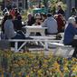 Pelanggan menikmati makan siang di bawah sinar matahari di Pasar Riverside di Christchurch, Selandia Baru pada Minggu (9/8/2020). Selandia Baru pada Minggu kemarin telah berhasil melewati 100 hari tanpa merekam kasus Virus Corona COVID-19 yang ditularkan secara lokal. (AP Photo/Mark Baker)