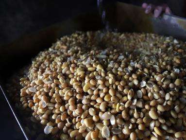 Pekerja menunjukkan kedelai untuk bahan baku pembuatan tahu di salah satu tempat produksi tahu di rumah industri Kawasan Kelapa Dua, Kebon Jeruk, Jakarta Barat, Jumat (11/11/2022).  Menekan harga kedelai impor yang terus melambung tinggi pemerintah berencana mendatangkan kedelai impor dari Amerika. (Liputan6.com/Johan Tallo)
