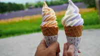 Di Hokkaido Jepang terdapat ladang bunga lavender maha luas dengan beragam varian yang dijadikan beragam produk, salah satunya es krim. Foto: Sutiknyo/ Lostpacker.