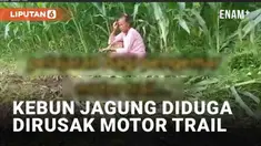 Viral seorang nenek terekam menangis di kebun jagung miliknya. Sebagian tanaman jagungnya yang akan panen tampak hancur. Peristiwa diduga terjadi di Jawa Timur. Sementara itu terekam sejumlah rombongan motor trail yang melintas.