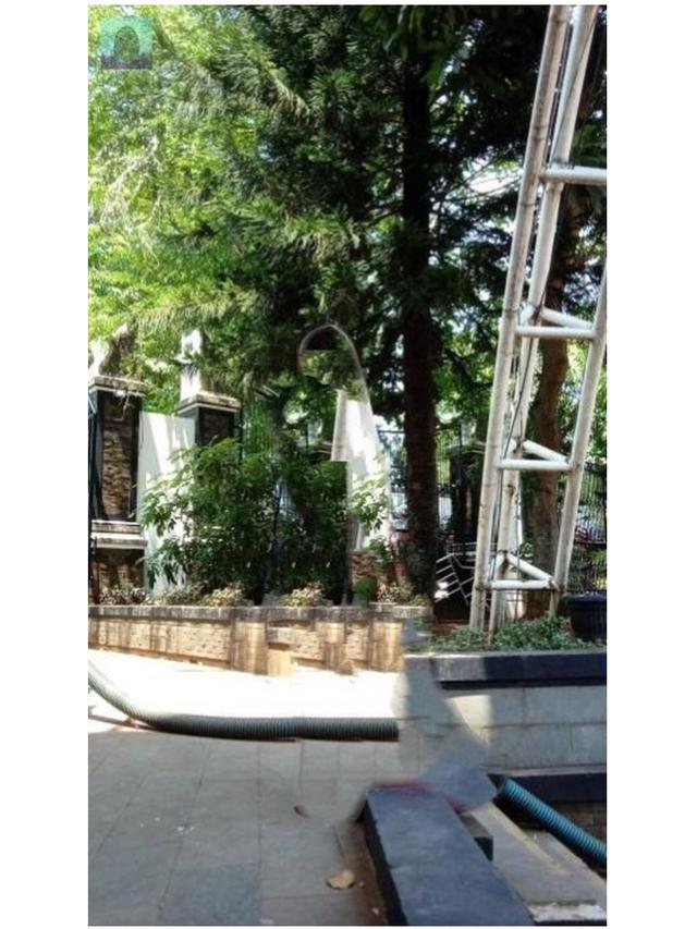 Minta Fotonya Diedit Agar Selangnya Hilang, 6 Hasilnya Bikin Tepuk Jidat