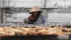 Pekerja menjemur ikan asin di perkampungan nelayan Muara Angke, Jakarta, Selasa (5/12/2023). (merdeka.com/Imam Buhori)