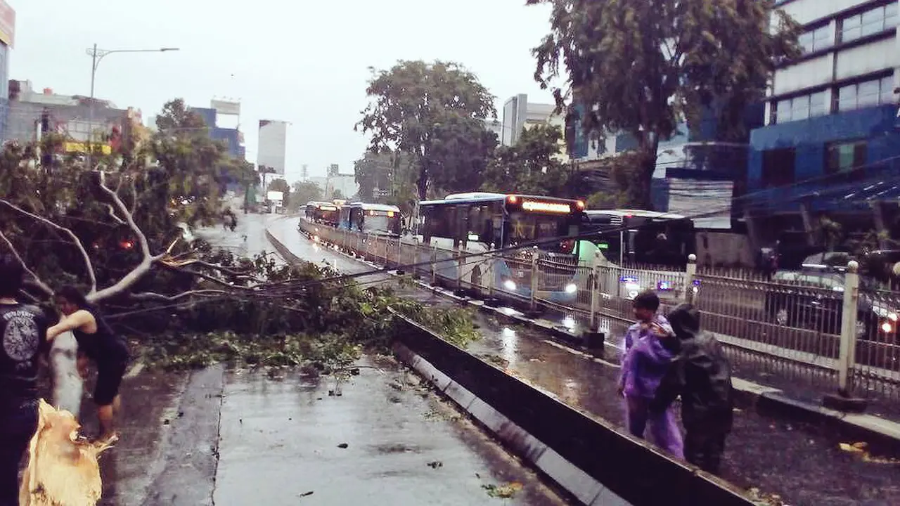 Pohon tumbang
