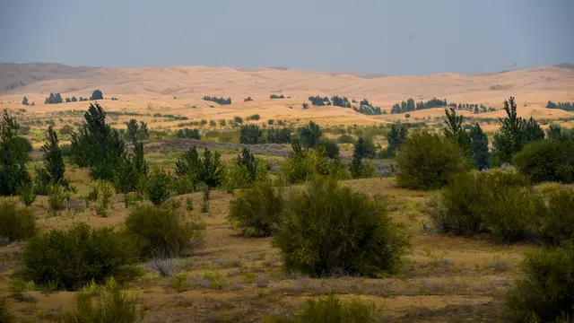 Gurun Kubuqi