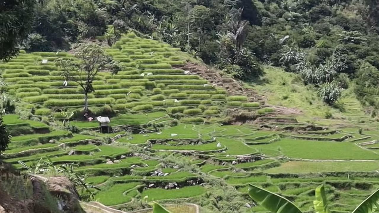 Kampung Cileunca yang punya pemandangan mirip di surga