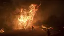 Kebakaran hutan dahsyat melanda California, Amerika Serikat, Sabtu (8/7). Kebakaran terjadi akibat kekeringan panjang yang terjadi selama lima tahun terakhir. (AP Photo / Noah Berger)