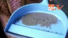 liputan6