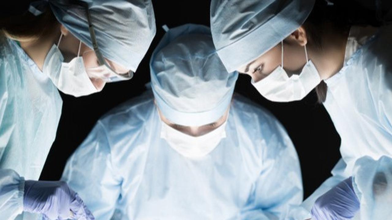 Awal Mula Peringatan Hari Dokter Nasional 24 Oktober, Mengenang Jasa Pelayanan Kesehatan untuk Masyarakat