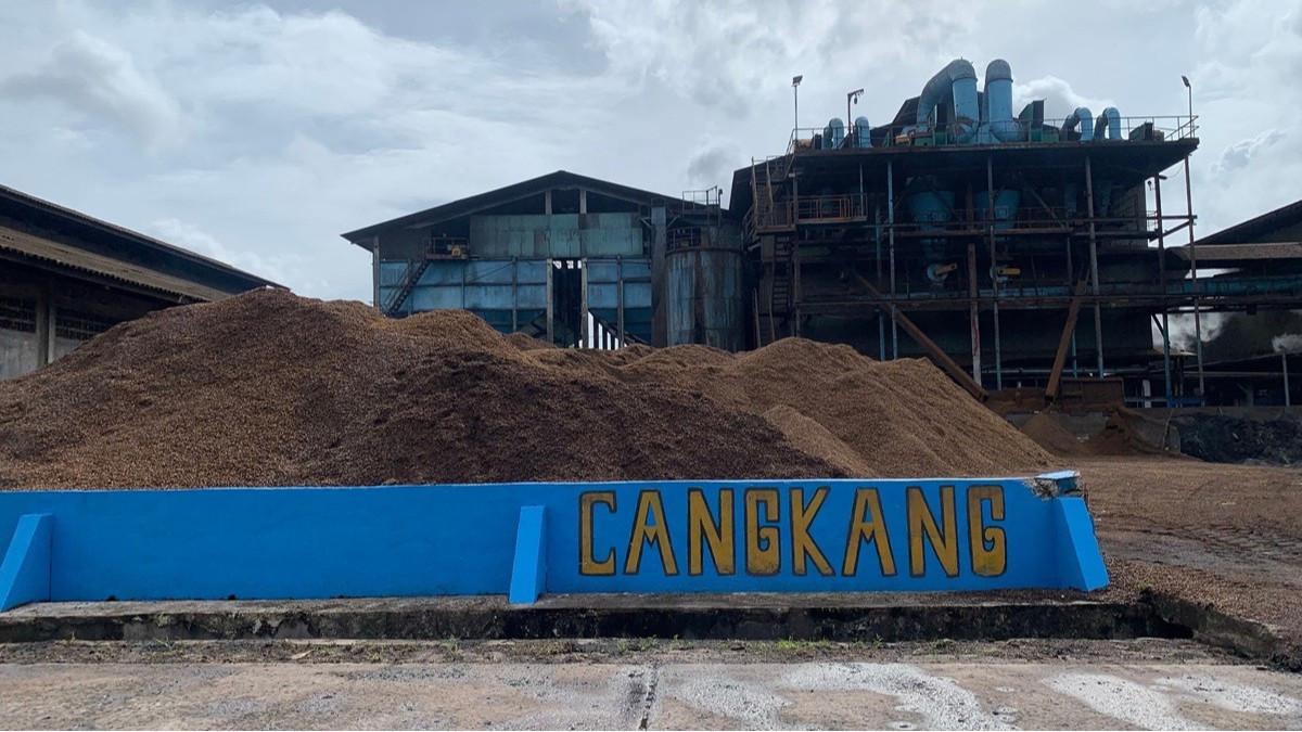 ESDM Dorong Transisi Energi Prorakyat dan Ramah Lingkungan