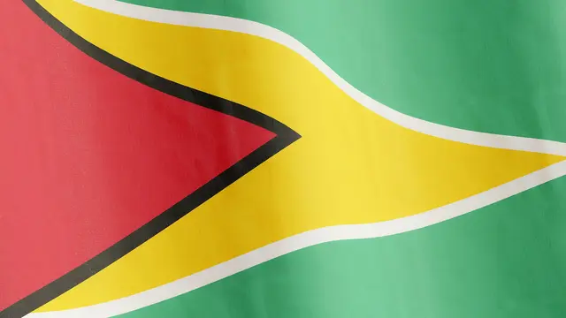 Bendera Guyana