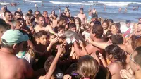 Nahas, Lumba-lumba Mati Setelah Dipaksa Selfie oleh Puluhan Turis (Hernan Coria/BBC)