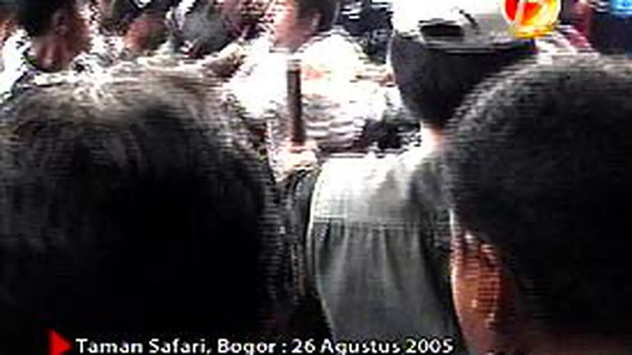 260805cBentrokSafari.jpg
