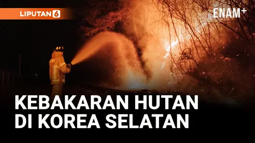VIDEO: Kebakaran Hutan di Korea Selatan Hancurkan Kuil Berusia 1.300 Tahun