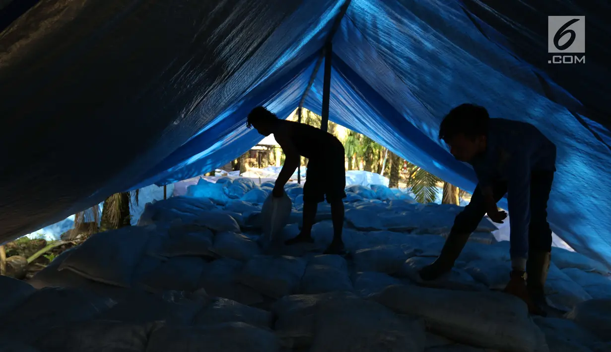 Pekerja dari kelompok tani mekar jaya binaan PT Wirakarya Sakti unit forestry APP Sinarmas merapihkan  pupuk kompos di Kab Tanjung Jabnung Barat, Jambi, Kamis (3/5). Usaha pupuk kompos tersebut mampu hasilkan 100 ton perbulan. (Liputan6.com/Angga Yuniar)