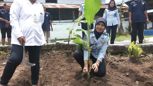 Aksi Tanam Cabai 