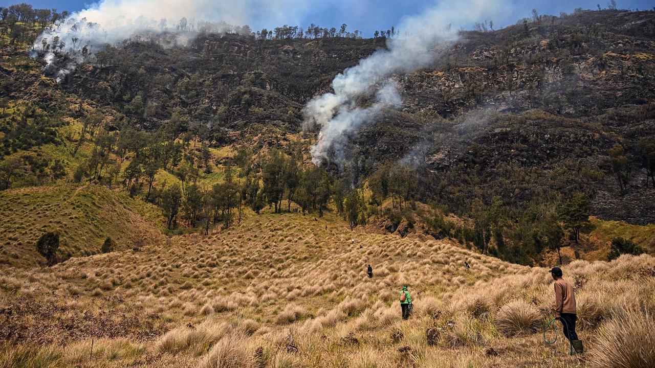 Pemadaman Terus Dilakukan Cegah Api Meluas di Gunung Bromo