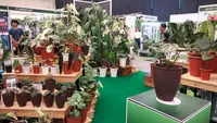 Tanaman hias di Floriculture Indonesia International Expo 2023 (Dok.Liputan6.com/Winda Syifa Sahira)