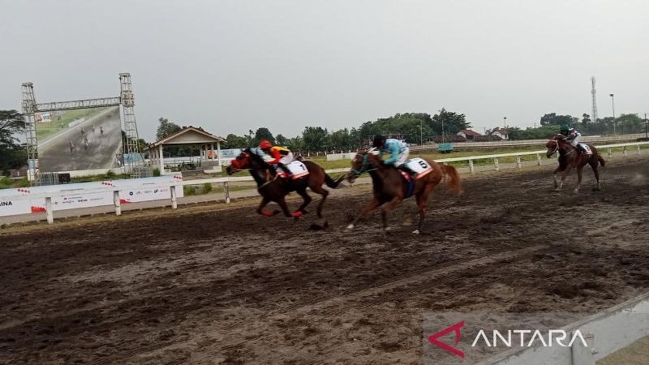 Antusiasme Tinggi di Kejuaraan Pacuan Kuda Bantul: 138 Kuda Bersaing Raih Triple Crown