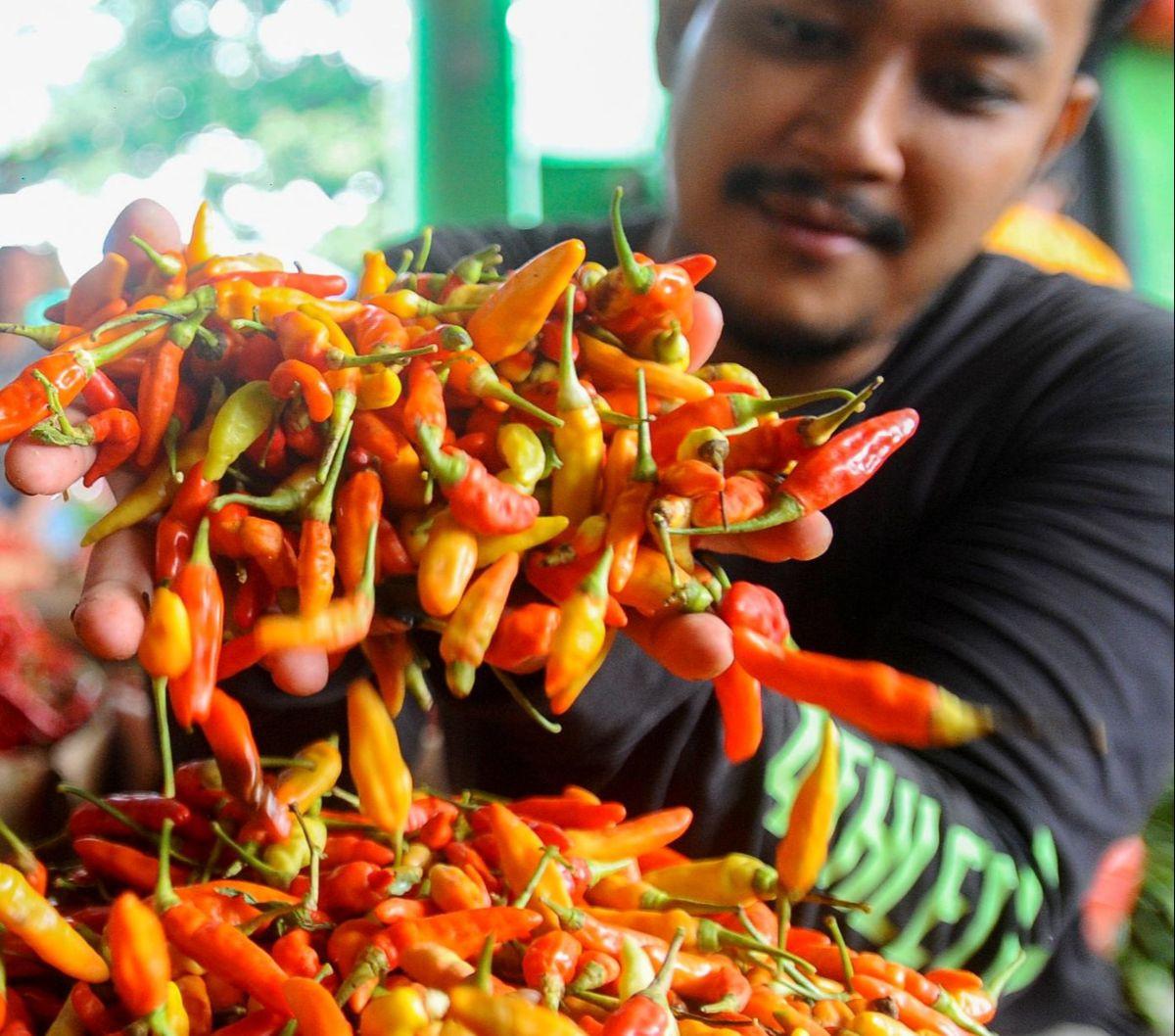 "Cabai ini dua-duanya lagi naik, Rp100 ribu per kg," kata Tari kepada media.<br><br>