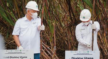 Pupuk Indonesia berhasil meningkatkan produktivitas tanaman tebu melalui program Makmur