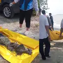 Kronologi Penemuan Mayat Tanpa Kepala di Pantai Lampung Selatan