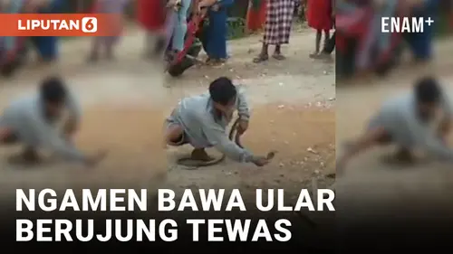 VIDEO: Ngamen Bawa Ular, Seorang Pria Tewas Dipatok