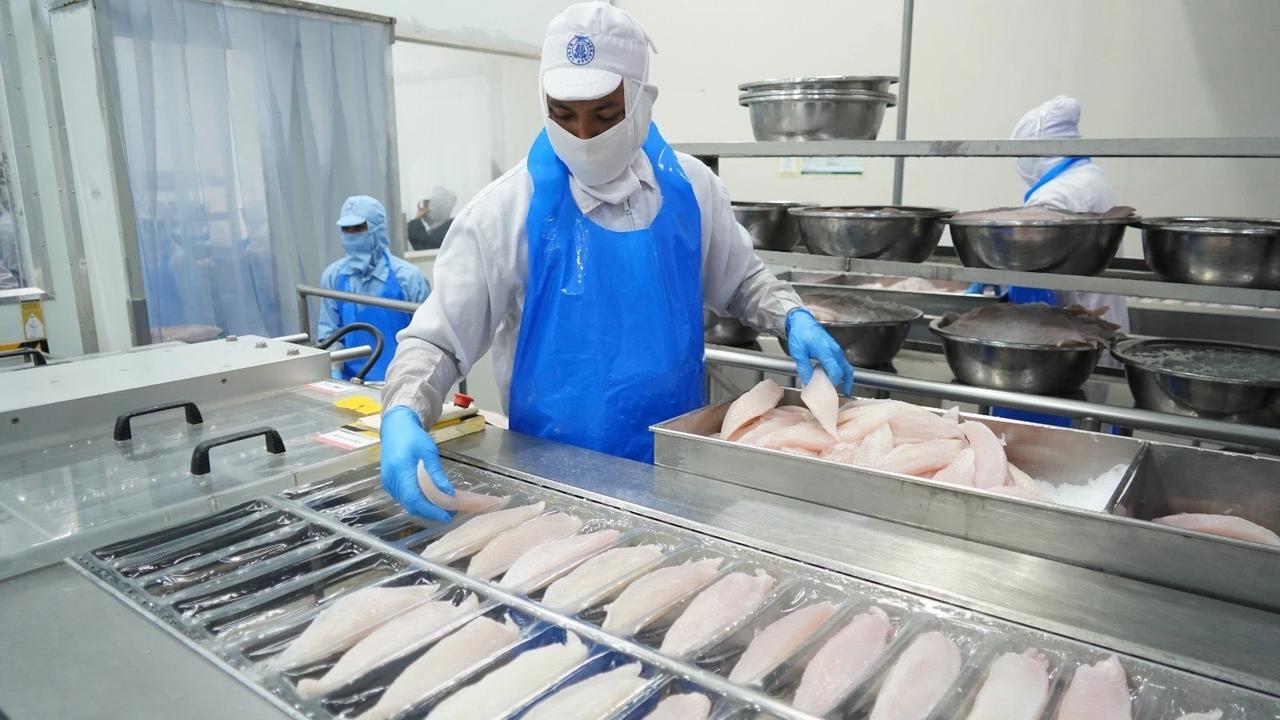 Proses pengolahan ikan di salah satu Unit Pengolahan Ikan (UPI) fillet ikan yang produknya diekspor ke luar negeri.