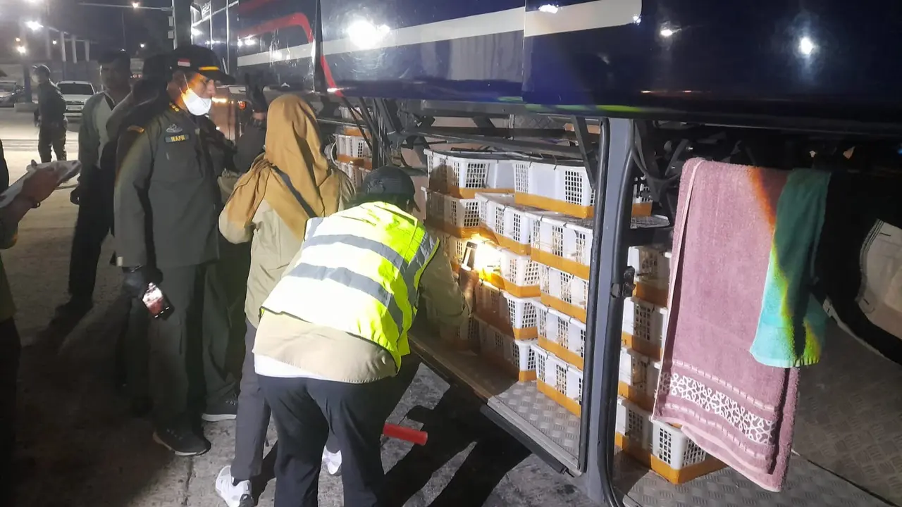 Karantina Lampung Gagalkan Penyelundupan 670 Burung di Bakauheni