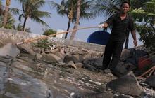 Penelitian LIPI ungkap penyebab kematian massal ikan di Ancol